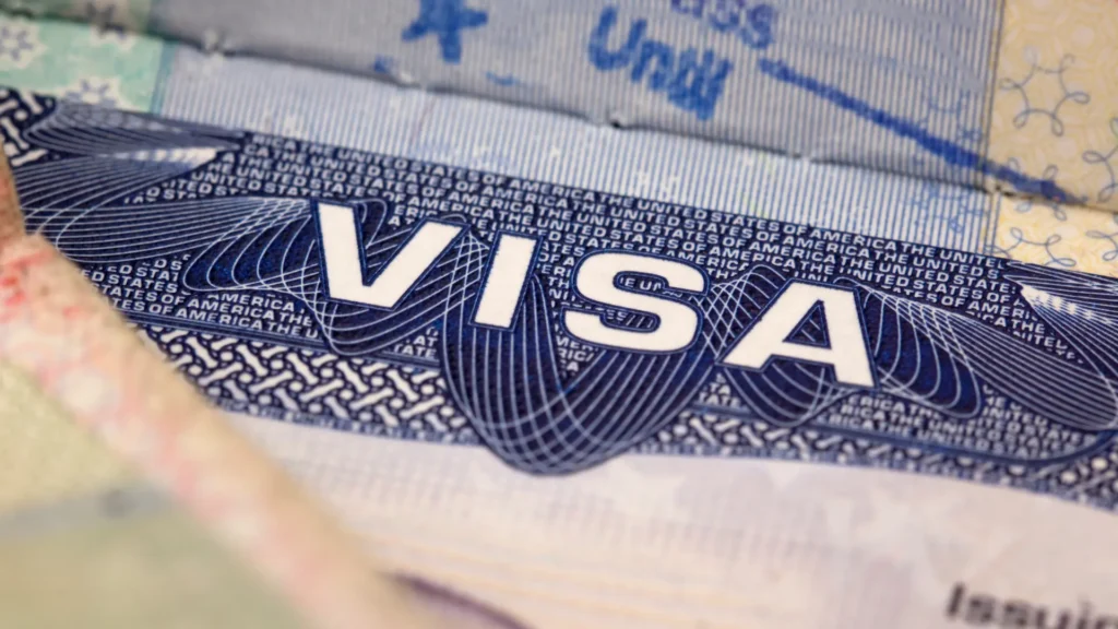 What Is Freelance Visa